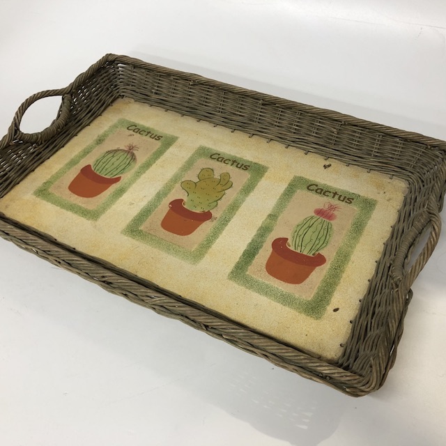 TRAY, Wicker w Cactus - Large